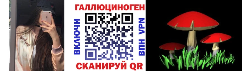 Галлюциногенные грибы Psilocybe  Берёзовский 